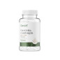 OSTROVIT GARCINIA CAMBOGIA - 90kaps VEGE OSTROVIT GARCINIA CAMBOGIA - 90kaps VEGE