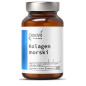 OSTROVIT PHARMA KOLAGEN MORSKI 60kaps OSTROVIT PHARMA KOLAGEN MORSKI 60kaps