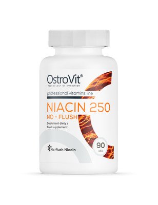 OSTROVIT NIACIN 250 NO-FLUSH - 90 tabl