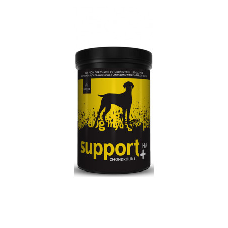 POKUSA CHONDROLINE SUPPORT+HA 350g