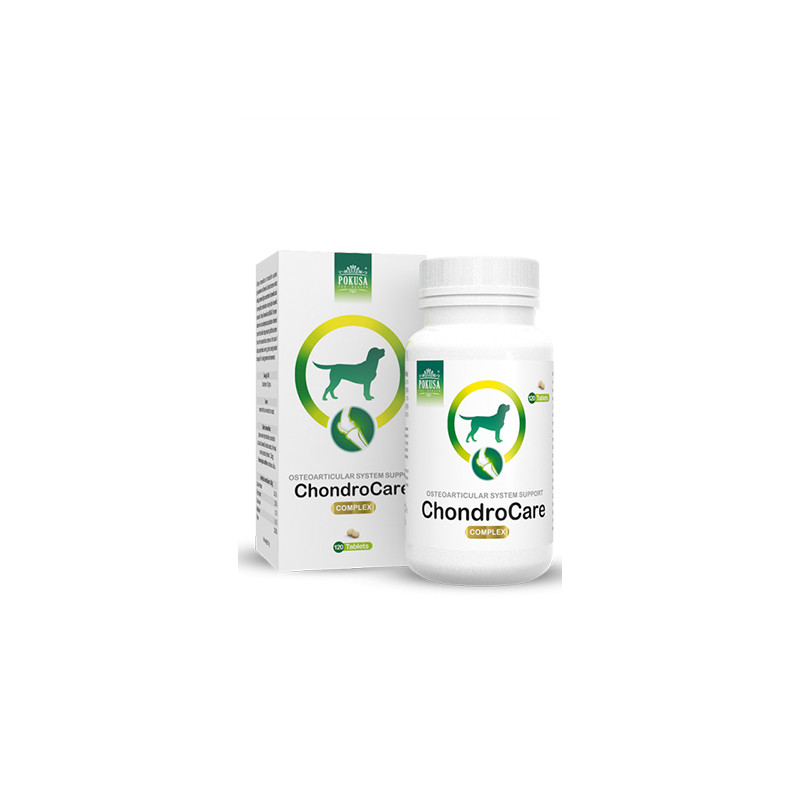 POKUSA CHONDROLINE CHONDROCARE 120tabl POKUSA CHONDROLINE CHONDROCARE 120tabl