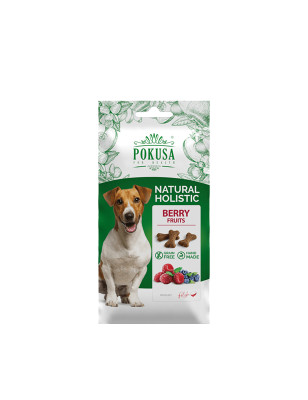 POKUSA FUN&MNIAM PSIASTECZKA BERRY FRUITS 50g
