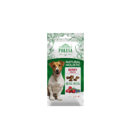 POKUSA FUN&MNIAM PSIASTECZKA BERRY FRUITS 50g