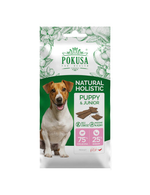 POKUSA FUN&MNIAM SMACZKI PUPPY&JUNIOR 40g