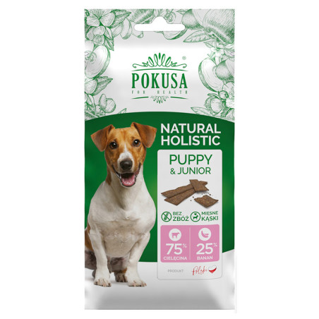 POKUSA FUN&MNIAM SMACZKI PUPPY&JUNIOR 40g