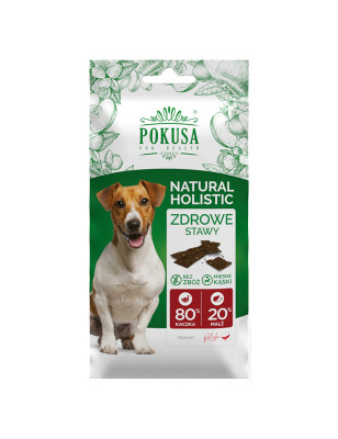 POKUSA FUN&MNIAM SMACZKI ZDROWE STAWY 40g