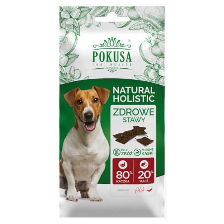 POKUSA FUN&MNIAM SMACZKI ZDROWE STAWY 40g