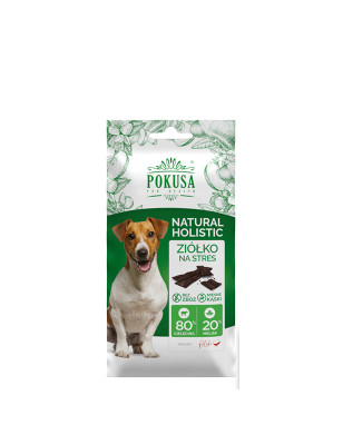 POKUSA FUN&MNIAM SMACZKI ZIÓŁKO NA STRES 40g