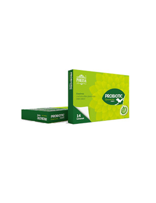 POKUSA GREENLINE PROBIOTIC FORTE 14tabl