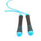 POWER-SYSTEM SKAKANKA WEIGHTED JUMP ROPE-BLUE
