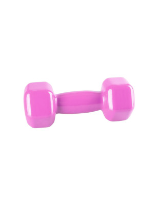 POWER-SYSTEM HANTEL VINYL DUMBELL 2KG