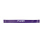 POWER-SYSTEM GUMA MINI LOOP BAND-LEVEL 2 POWER-SYSTEM GUMA MINI LOOP BAND-LEVEL 2