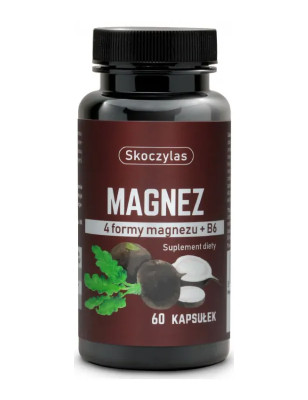 SKOCZYLAS MAGNEZ 4 FORMY - 60kaps