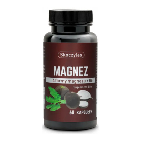SKOCZYLAS MAGNEZ 4 FORMY - 60kaps