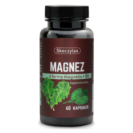 SKOCZYLAS MAGNEZ 4 FORMY- szpinak, jarmuż - 60kaps