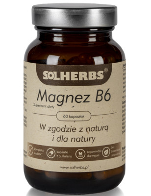 SOLHERBS WITAMINA B6 60kaps