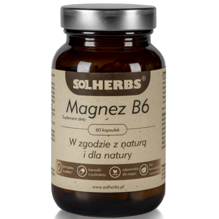SOLHERBS WITAMINA B6 60kaps
