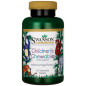 SWANSON CHILDREN'S CHEWABLE MULTIVITAMIN 120 tabl SWANSON CHILDREN'S CHEWABLE MULTIVITAMIN 120 tabl