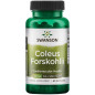 SWANSON COLEUS FORSKOHLII 400mg 60 kaps SWANSON COLEUS FORSKOHLII 400mg 60 kaps