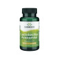 SWANSON LACTOBACTILLUS ACIDOPHILUS 100kaps