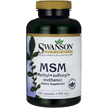 SWANSON MSM 500mg - 250 kaps