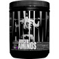 UNIVERSAL ANIMAL JUICED AMINOS 368g orange UNIVERSAL ANIMAL JUICED AMINOS 368g orange