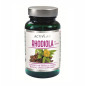 ACTIVLAB PHARMA RHODIOLA - 60 kaps ACTIVLAB PHARMA RHODIOLA - 60 kaps