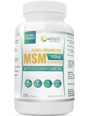 WISH MSM 500mg - 250tabl