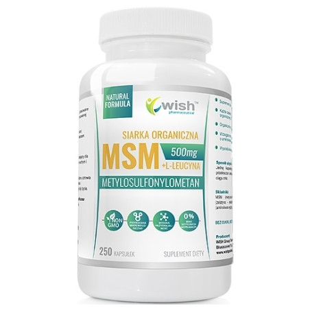 WISH MSM 500mg - 250tabl
