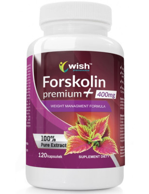 WISH FORSKOLINA POKRZYWA INDYJSKA 120 kaps