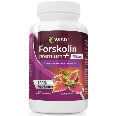 WISH FORSKOLINA POKRZYWA INDYJSKA 120 kaps