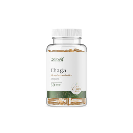OSTROVIT CHAGA 60kaps VEGE