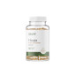 OSTROVIT CHAGA 60kaps VEGE OSTROVIT CHAGA 60kaps VEGE