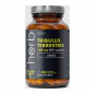 HERB TRIBULUS TERRESTRIS 500 mg - 90 kaps vege