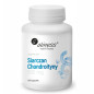 ALINESS SIARCZAN CHONDROITYNY 500mg - 100 kaps