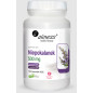 ALINESS NIEPOKALANEK 500 mg - 100 kaps vege