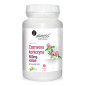 ALINESS CZERWONA KONICZYNA EXTR.8% 500mg-100kaps  ALINESS CZERWONA KONICZYNA EXTR.8% 500mg-100kaps